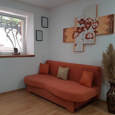 Karla Babic Apartment เซนญ์ ภายนอก รูปภาพ
